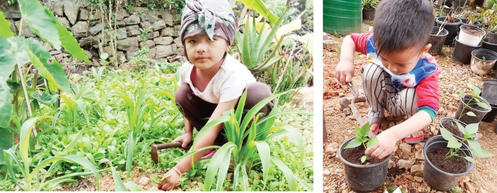 Students of Living Tree School Kohima engaged in various environment based projects initiated by the school during lockdown.